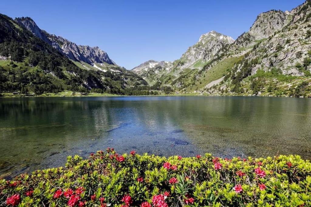 Gite La Grangette De Pauline Mercus-Garrabet Exteriör bild