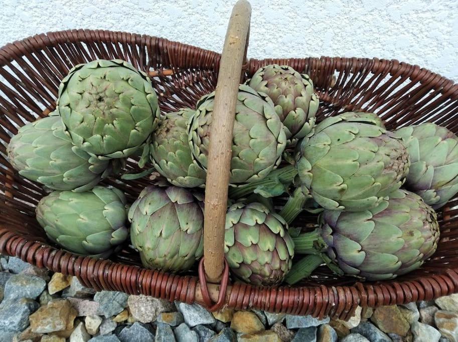Gite La Grangette De Pauline Mercus-Garrabet Exteriör bild