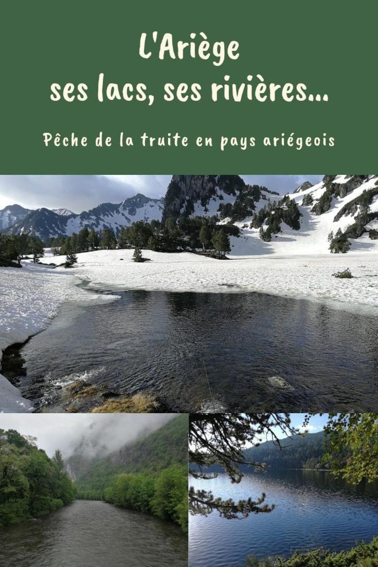 Gite La Grangette De Pauline Mercus-Garrabet Exteriör bild