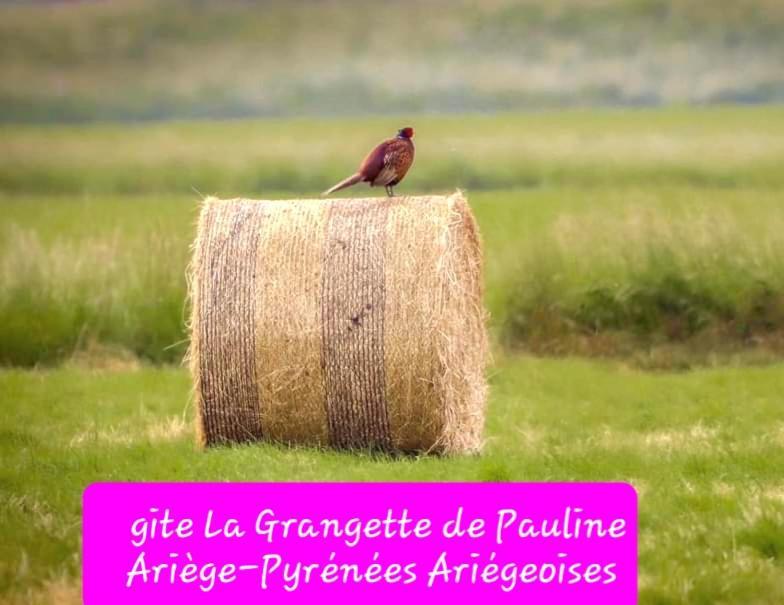 Gite La Grangette De Pauline Mercus-Garrabet Exteriör bild